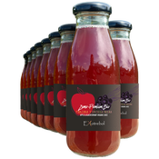 Ekotrebol Apple Blackcurrant 250ml