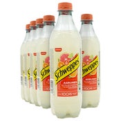 Schweppes Agrumes frisdrank 500ml