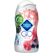 Karvan Cevitam GO Red Fruit 48ml
