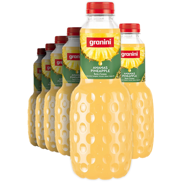 6st Granini Ananas Sap 1l