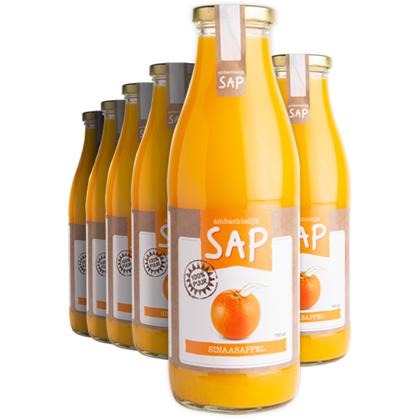 6st Ambachtelijk Sap Sinaasappel 750ml